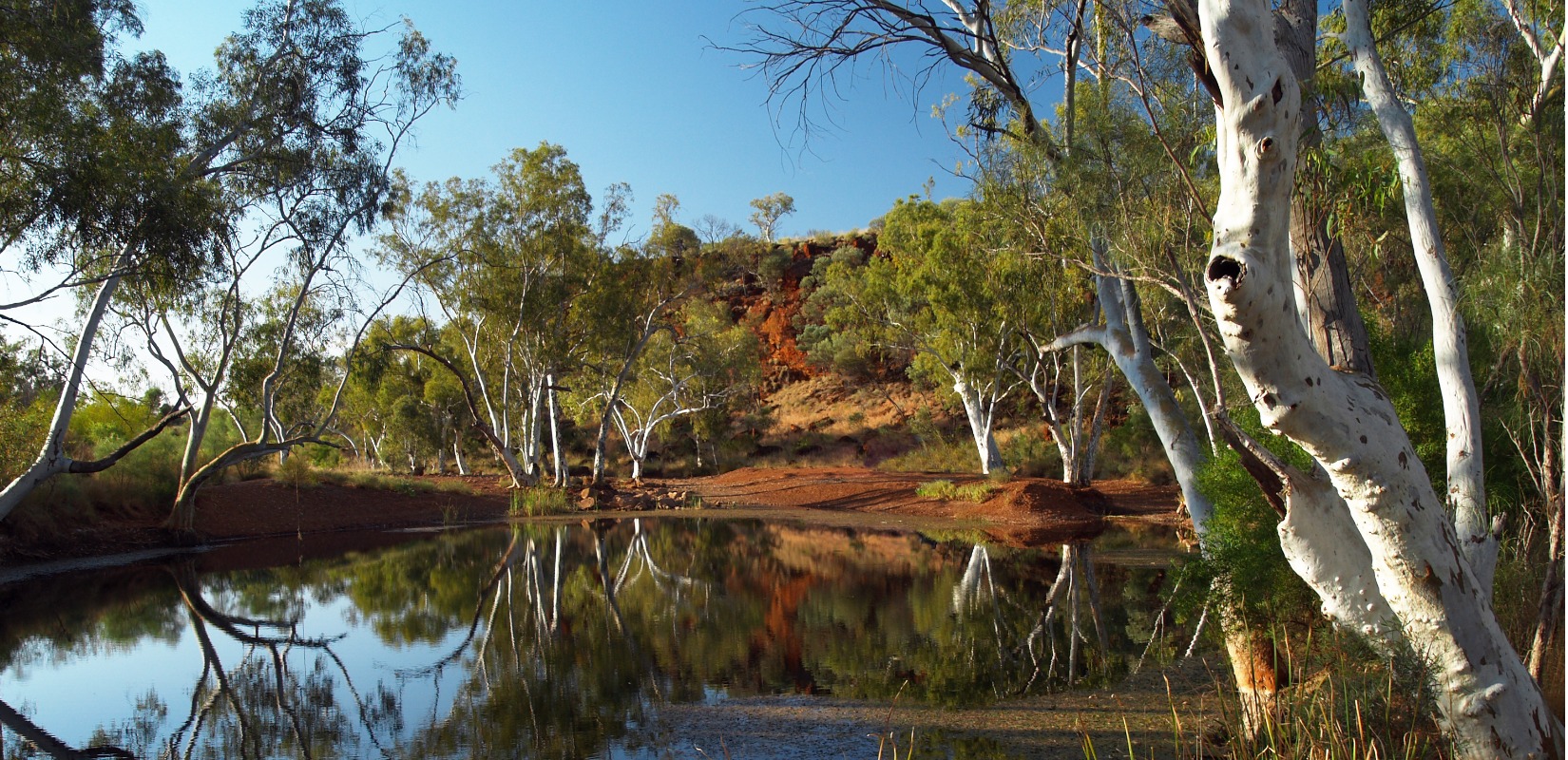 Matilda Meaning In Waltzing Matilda