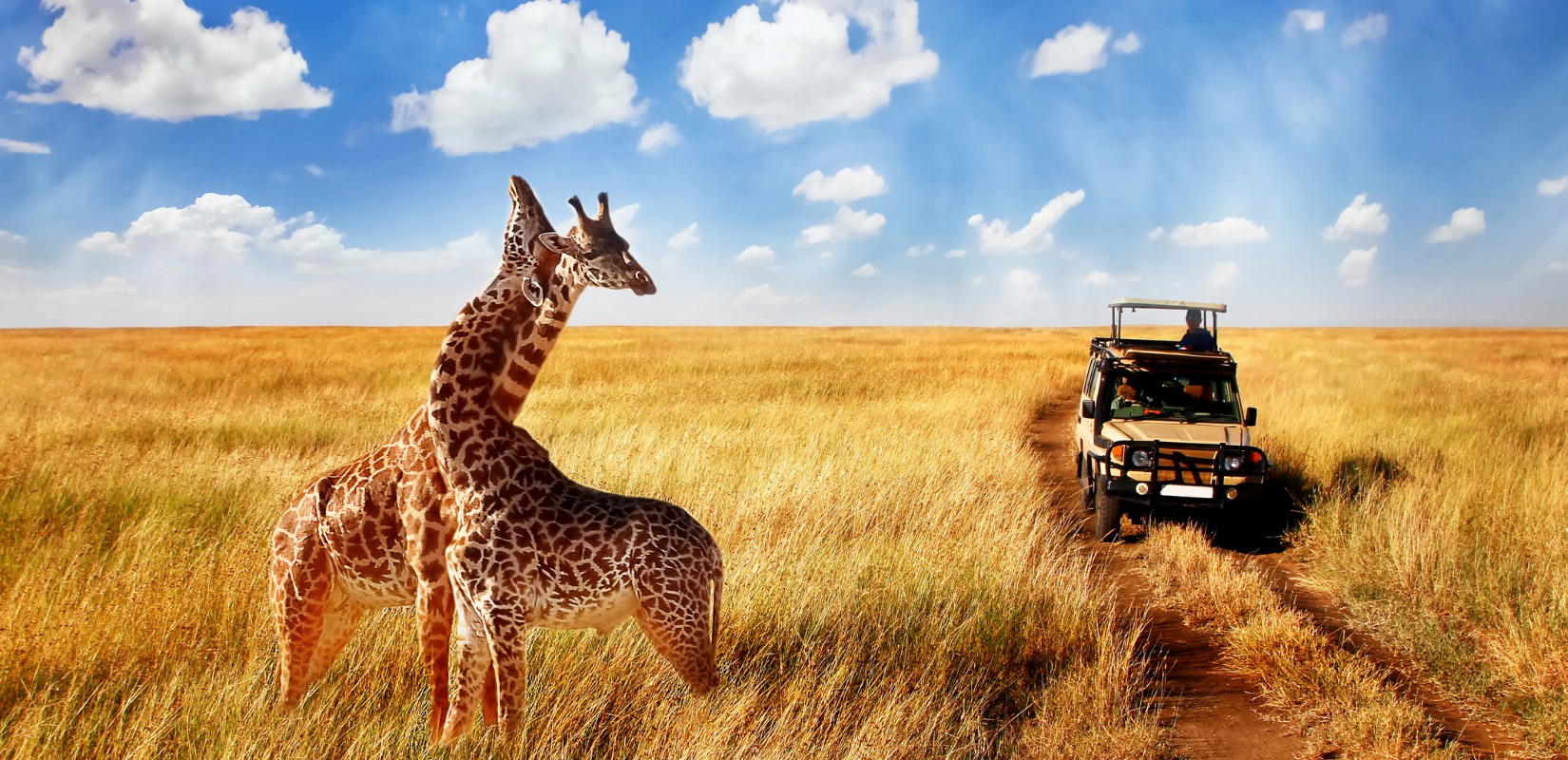 Lesson 3A: Welcome to Serengeti